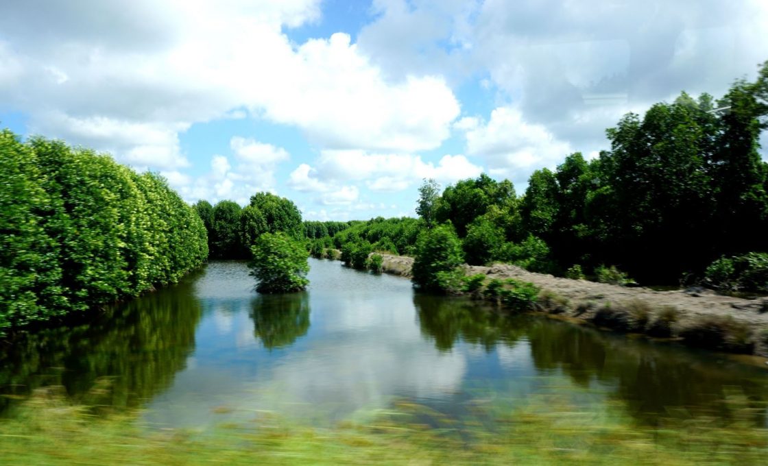 sông nước Cà Mau (trích Đất rừng phương Nam) của Đoàn Giỏi