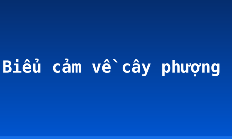 Biểu cảm về cây phượng