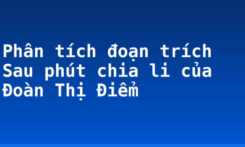 Phân tích đoạn trích Sau phút chia li của Đoàn Thị Điểm