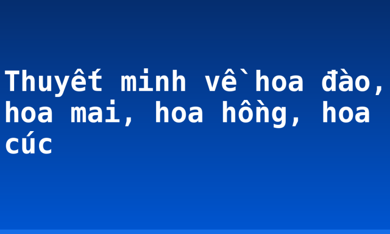 Thuyết minh về hoa đào, hoa mai, hoa hồng, hoa cúc
