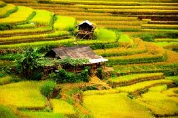 Cách làm bài nghị luận về một vấn đề tư tưởng, đạo lí