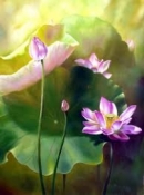 Bạn nghĩ gì về bạn và chọn bạn trong cuộc sống – Ngữ Văn 12