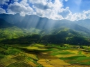 Lí tưởng là ngọn đèn soi sáng