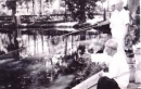Phân tích một cách ngắn gọn bài Phong cách Hồ Chí Minh.