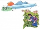 Cảm nhận về bài thơ Khúc hát ru những em bé lớn trên lưng mẹ. ngữ văn lớp 9