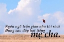 Hãy phát biểu cảm nghĩ của anh (chị) về một bài thơ hoặc một nhà thơ mà anh chị yêu thích
