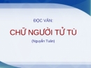 Phân tích Chữ người tử tù của tác giả Nguyễn Tuân