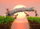 Vai trò của sách với đời sống nhân loại – Ngữ Văn 12
