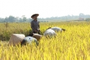 Hãy nêu nội dung bài thơ Tiếng hát con tàu và giải thích ý nghĩa nhan đề đó của bài thơ. Bình giảng khổ thơ được lấy là đề từ của bài thơ – Ngữ Văn 12