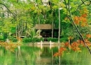 Giới thiệu về văn bản Tuyên bố thế giới về sự sống còn, quyền được bảo vệ và phát triển của trẻ em