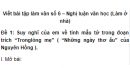 Soạn bài Luyện tập làm bài nghị luận về tác phẩm truyện (hoặc đoạn trích) – Ngắn gọn nhất