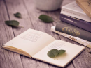 Soạn bài Phép phân tích và tổng hợp