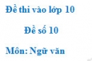 Đề số 11 – Đề thi vào lớp 10 môn Ngữ văn