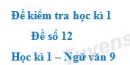 Đề số 13 – Đề kiểm tra học kì 1 (Đề thi học kì 1) – Ngữ văn 9