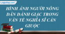 Phân tích bài Văn tế nghĩa sĩ Cần Giuộc để làm nổi bật vẻ đẹp của hình tượng những người nghĩa sĩ nông dân yêu nước.