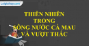 Cảm nhận về thiên nhiên và con người lao động qua văn bản vượt thác của nhà văn Võ Quảng