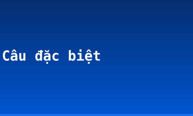 Câu đặc biệt