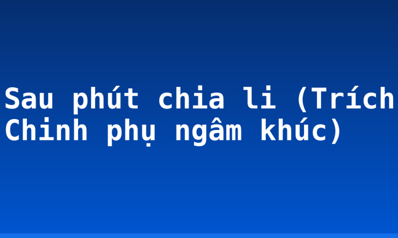 Sau phút chia li (Trích Chinh phụ ngâm khúc)