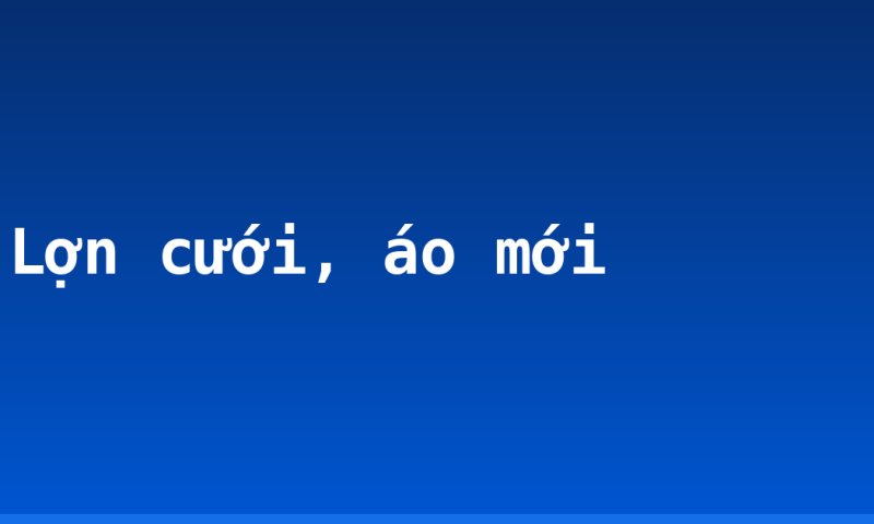 Lợn cưới, áo mới
