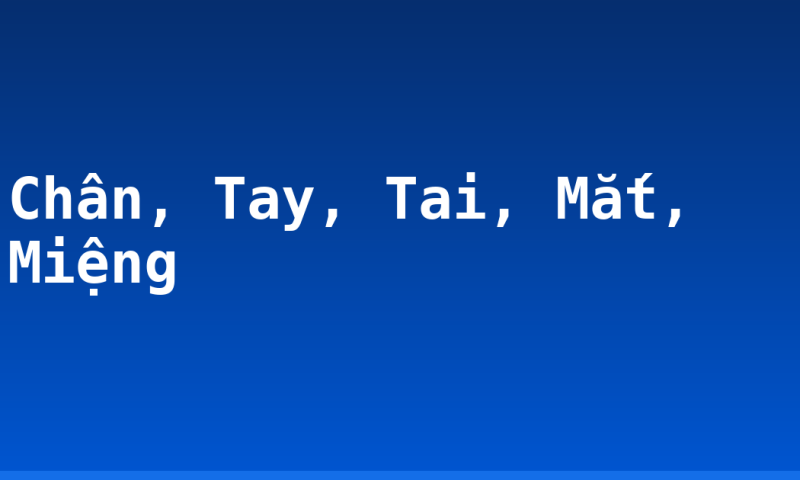 Chân, Tay, Tai, Mắt, Miệng
