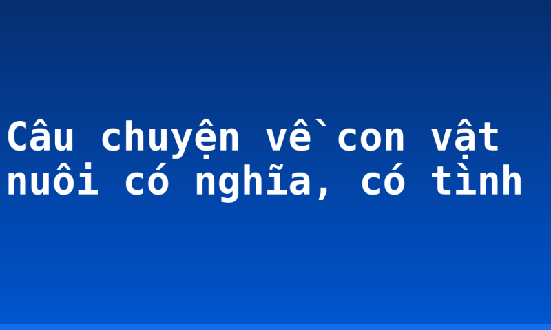 Câu chuyện về con vật nuôi có nghĩa, có tình