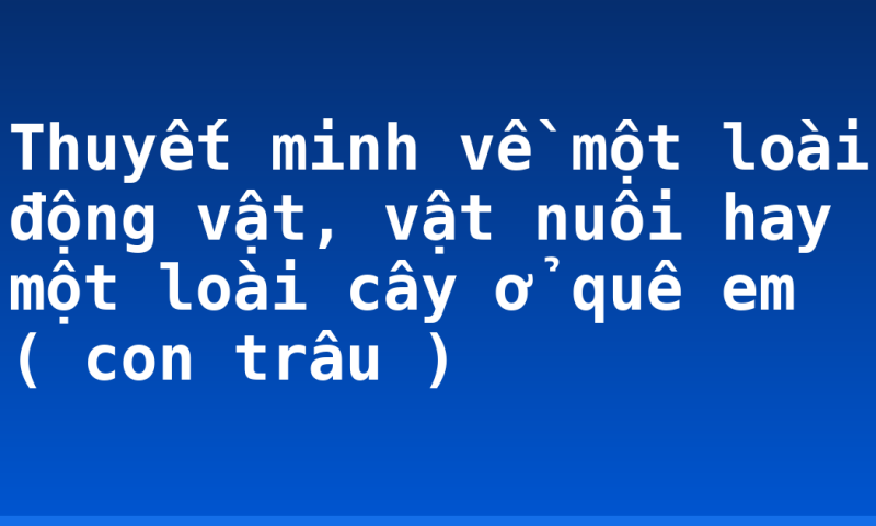 Thuyết minh về một loài động vật, vật nuôi hay một loài cây ở quê em ( con trâu )