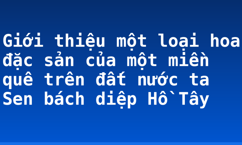 Giới thiệu một loại hoa đặc sản của một miền quê trên đất nước ta Sen bách diệp Hồ Tây