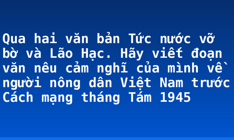 Qua hai văn bản Tức nước vỡ bờ và Lão Hạc. Hãy viết đoạn văn nêu cảm nghĩ của mình về người nông dân Việt Nam trước Cách mạng tháng Tám 1945