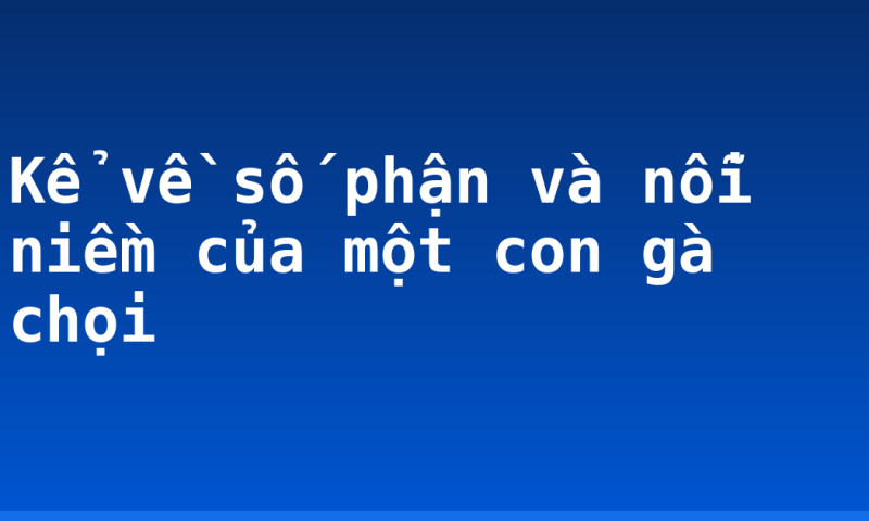 Kể về số phận và nỗi niềm của một con gà chọi