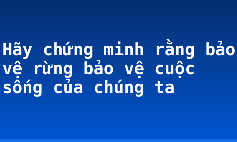 Hãy chứng minh rằng bảo vệ rừng bảo vệ cuộc sống của chúng ta