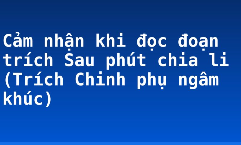 Cảm nhận khi đọc đoạn trích Sau phút chia li (Trích Chinh phụ ngâm khúc)