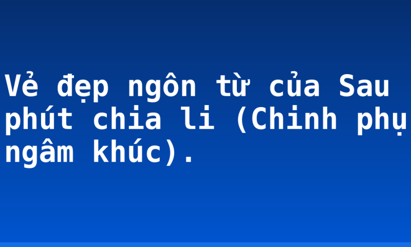 Vẻ đẹp ngôn từ của Sau phút chia li  (Chinh  phụ ngâm khúc).