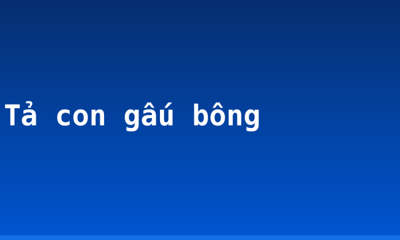 Tả con gấu bông
