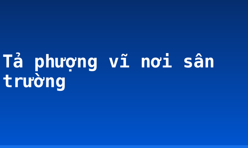 Tả phượng vĩ nơi sân trường