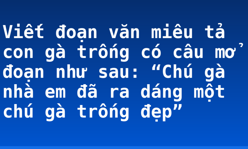 Viết đoạn văn miêu tả con gà trống có câu mở đoạn như sau: “Chú gà nhà em đã ra dáng một chú gà trống đẹp”