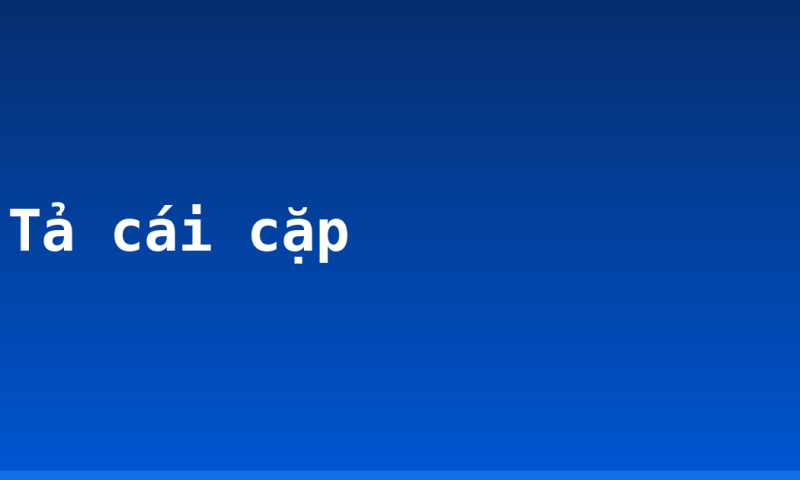 Tả cái cặp