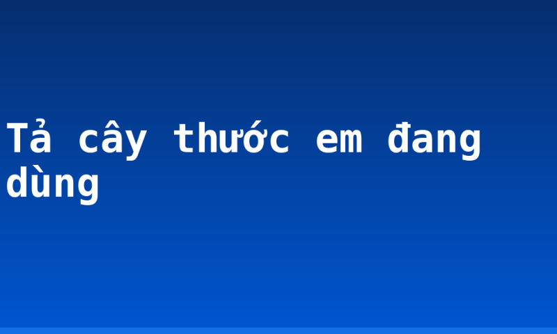 Tả cây thước em đang dùng