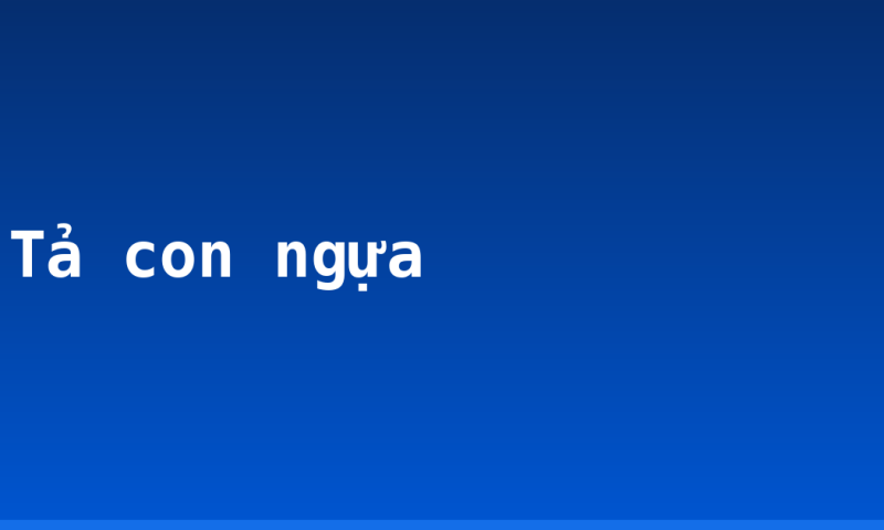 Tả con ngựa