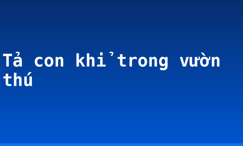 Tả con khỉ trong vườn thú