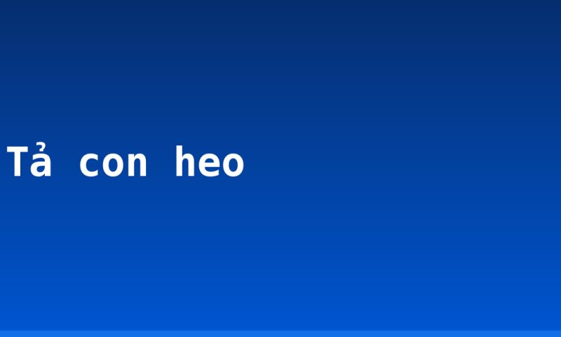 Tả con heo