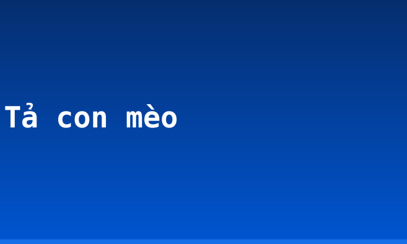 Tả con mèo