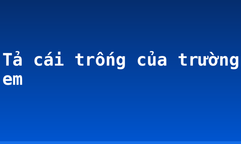 Tả cái trống của trường em