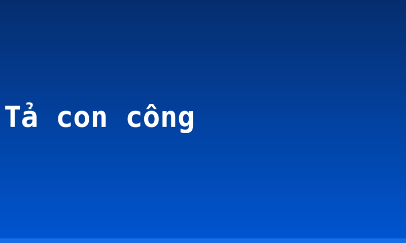 Tả con công