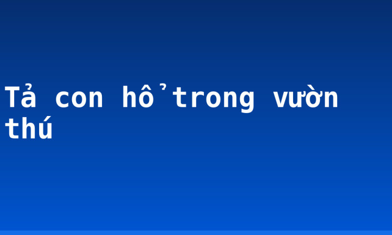 Tả con hổ trong vườn thú