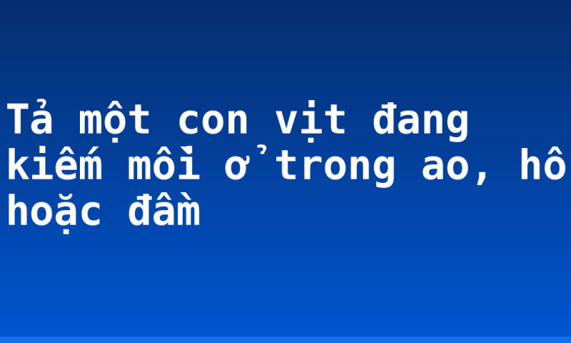 Tả một con vịt đang kiếm mồi ở trong ao, hồ hoặc đầm