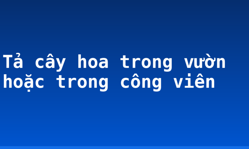 Tả cây hoa trong vườn hoặc trong công viên