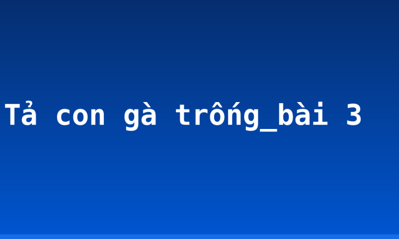 Tả con gà trống_bài 3