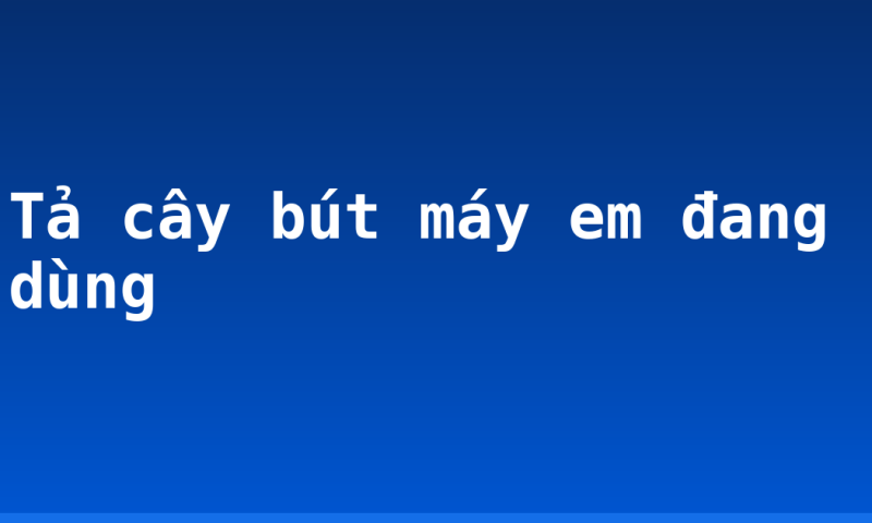 Tả cây bút máy em đang dùng