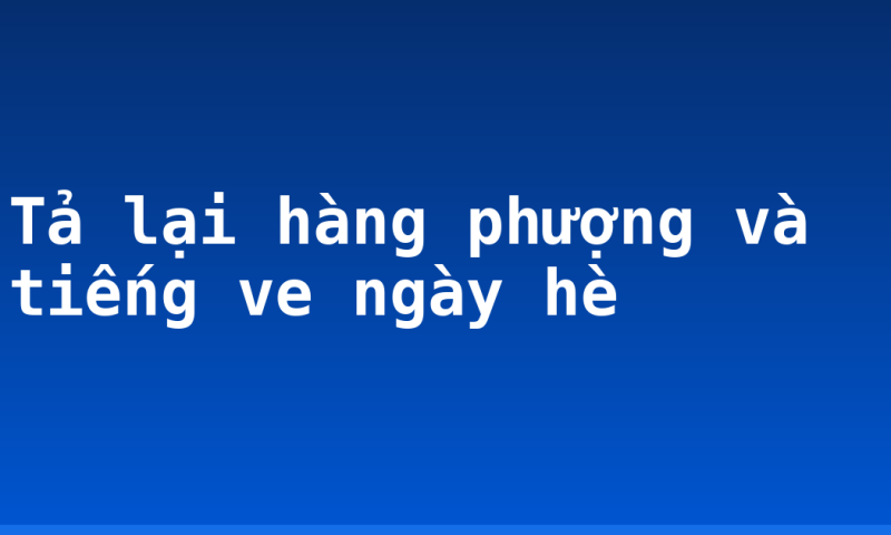 Tả lại hàng phượng và tiếng ve ngày hè