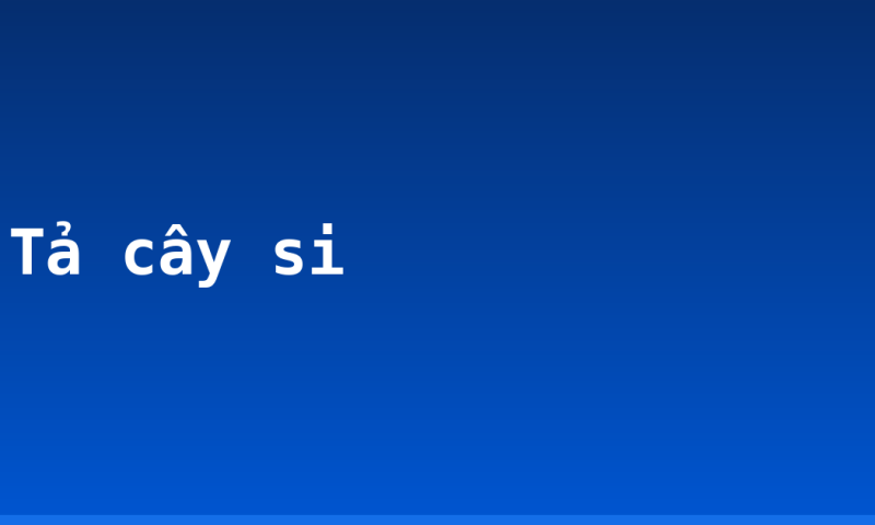 Tả cây si